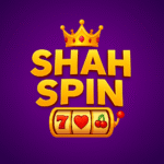 SHAH Spin Game