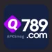 Q789 Game