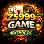 ZS999 Game