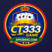 CT333 Game